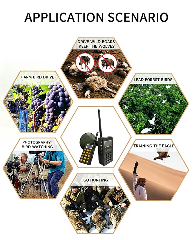 Multi Hunt - Image 11